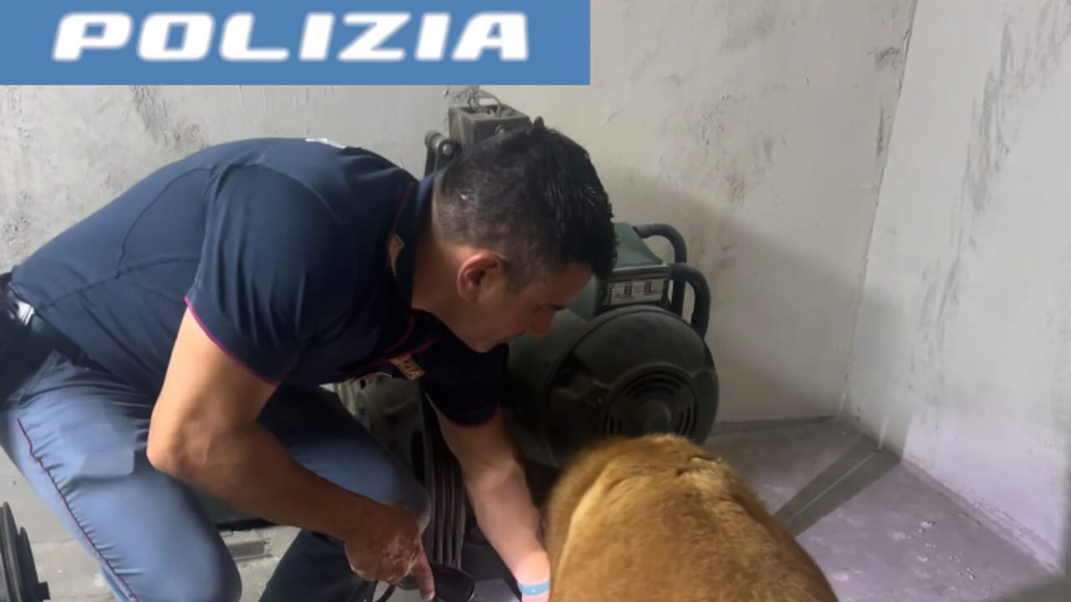 Maxi sequestro a Catania: oltre 500 g di cocaina nascosti nell'ascensore, trovato anche un caricatore e 26 cartucce - 
