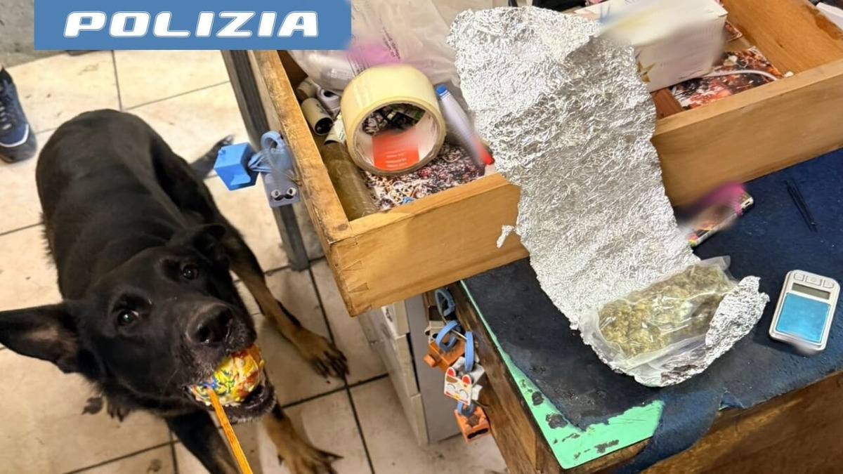 Autolavaggio usato per lo spaccio: denunciato il titolare dopo segnalazione tramite YouPol - 