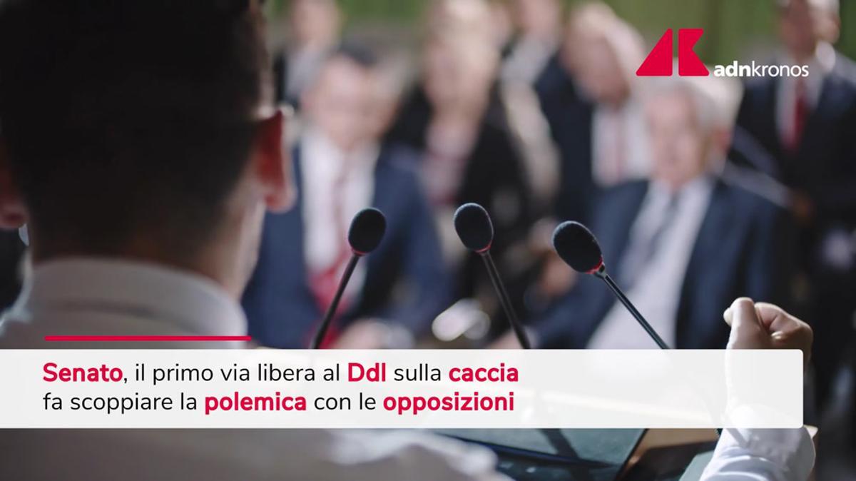 Ddl caccia, primo via libera del Senato: scoppia polemica opposizioni - 