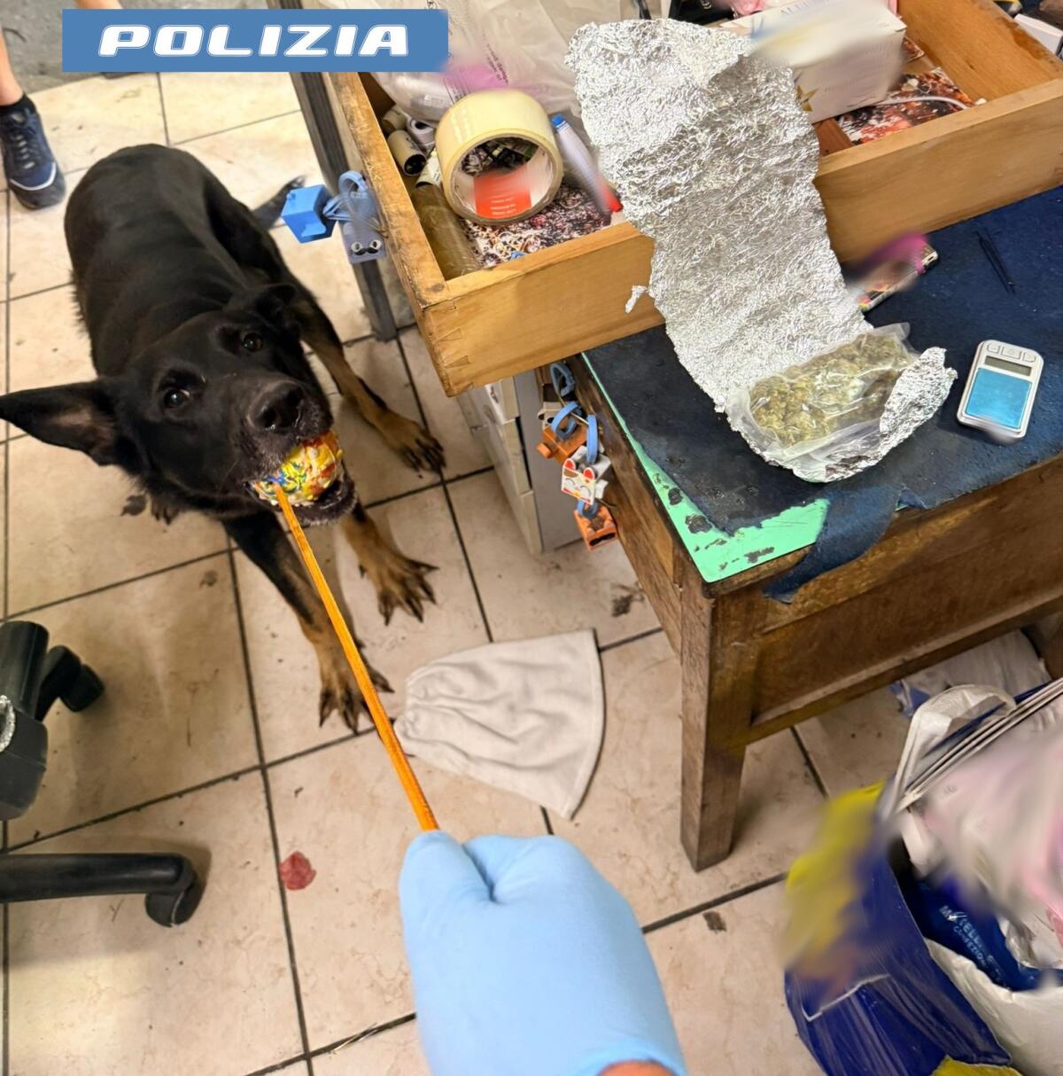 Catania: nascondiglio di droga scoperto grazie a YouPol, 46enne denunciato
