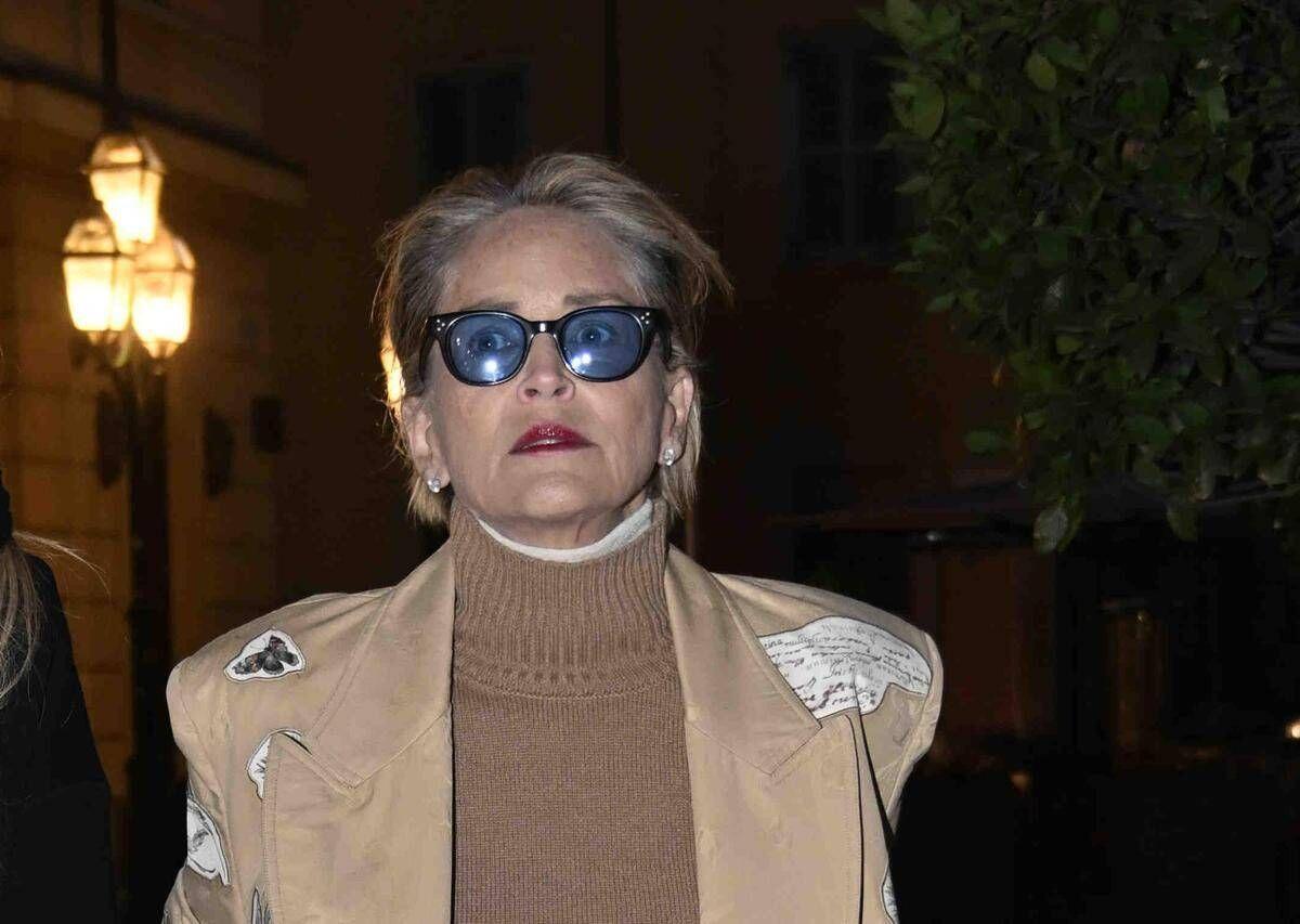 Sharone Stone, la diagnosi e la rottura col marito: "Non voleva l'operazione al seno" - 
