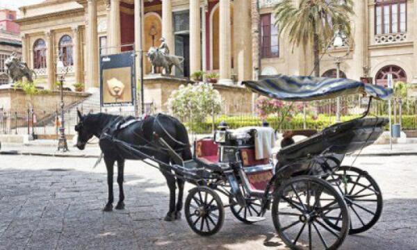 Ordinanza 2026: Comune inasprisce norme per il benessere dei cavalli impiegati nelle carrozze turistiche