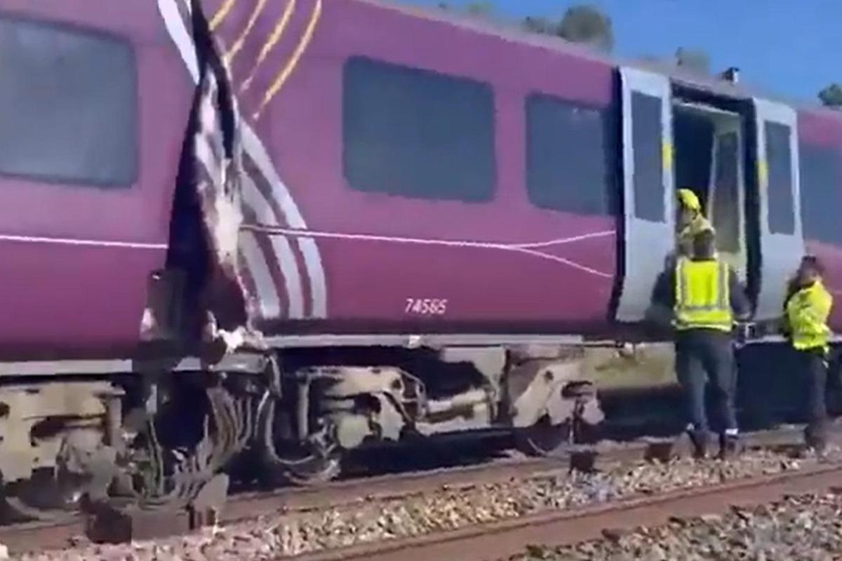 Scontro tra due treni a nord di Londra, soccorsi in azione: "Ci sono feriti gravi" - 