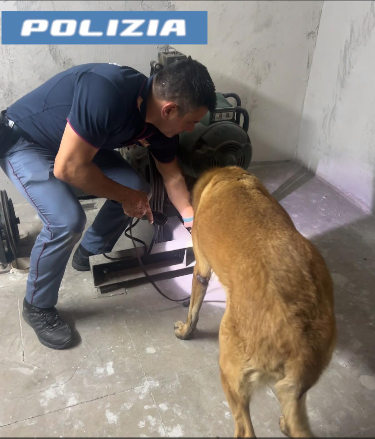 Polizia sequestra oltre mezzo chilo di cocaina e armi a Misterbianco: denunciato un 23enne - 