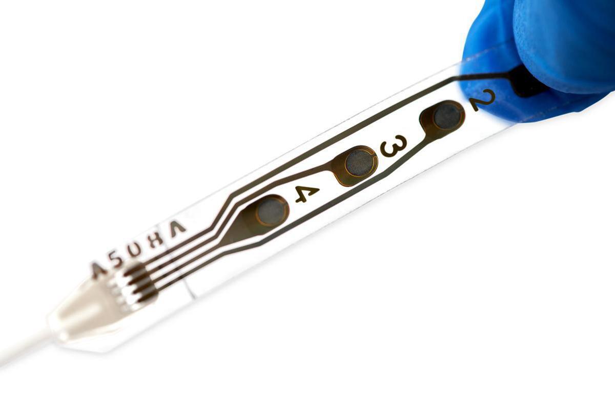 Farmaceutica, Wise: Enea tech e Biomerical entra come investitore strategico - 