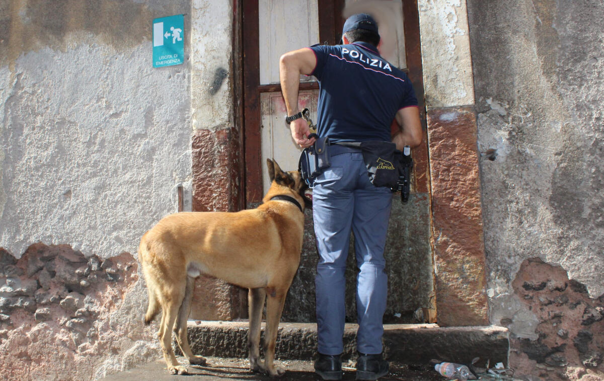 Catania: 18enne arrestato in casa con droga e bomba carta, artificieri mettono in sicurezza l'ordigno - 