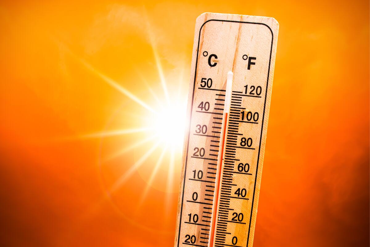 Caldo, l'avvertimento di Pregliasco: "38°C in molte città, ma il vero nemico è l'umidità" - 