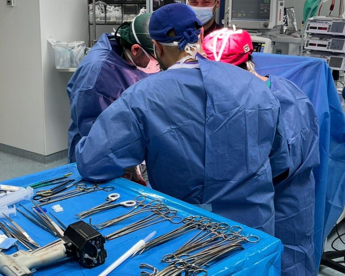 Catania, prelievo multiorgano al Policlinico San Marco: fegato, reni e cornee prelevati dopo accertamento di morte cerebrale - 