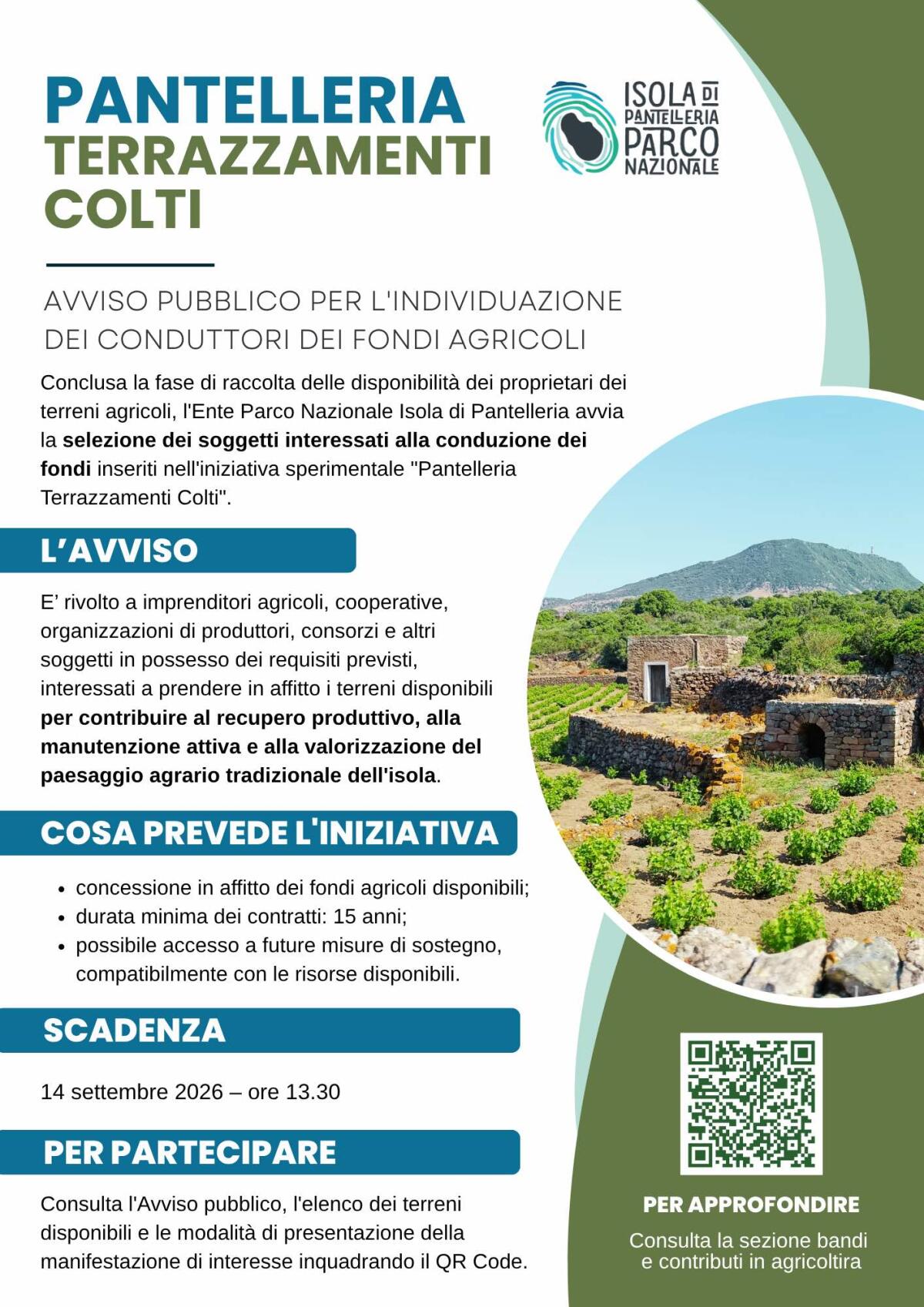 ‘Pantelleria Terrazzamenti Colti’: opportunità e rischi nel recupero dei terrazzamenti panteschi - 