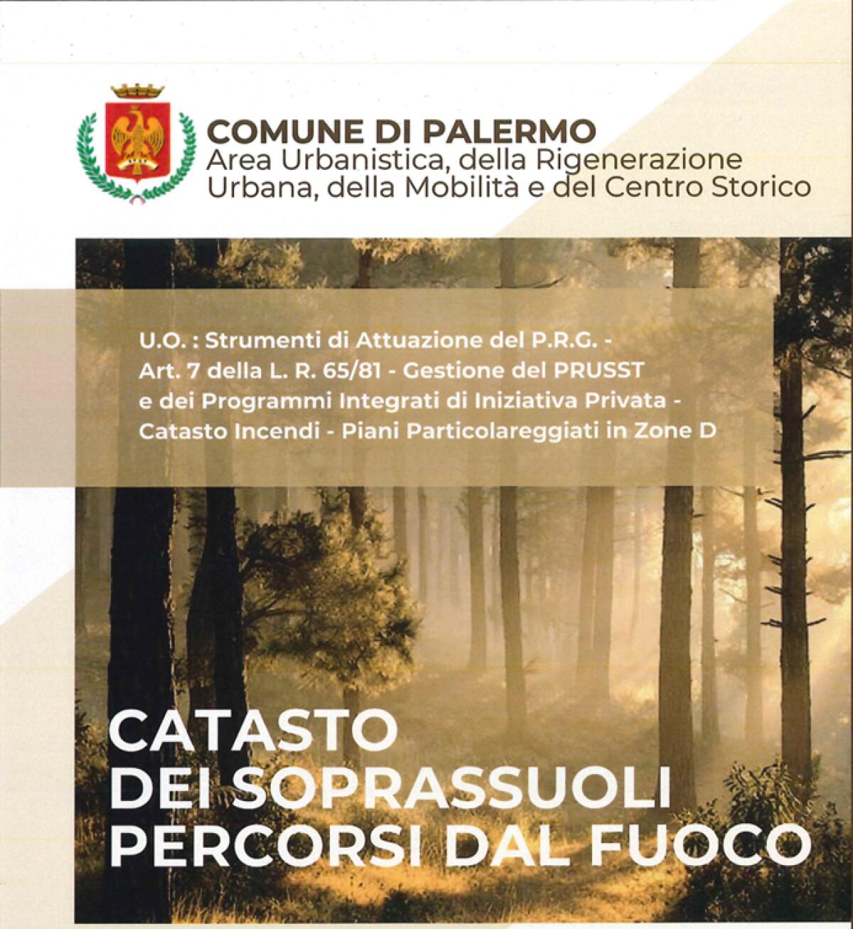 Il Comune pubblica l’elenco delle particelle catastali dei soprassuoli percorsi dal fuoco nel 2025 - 