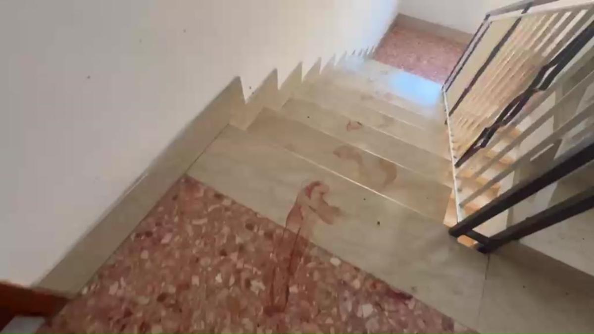 Triplice omicidio a Roma, la fuga disperata del figlio ferito: le impronte nel palazzo - Video - 