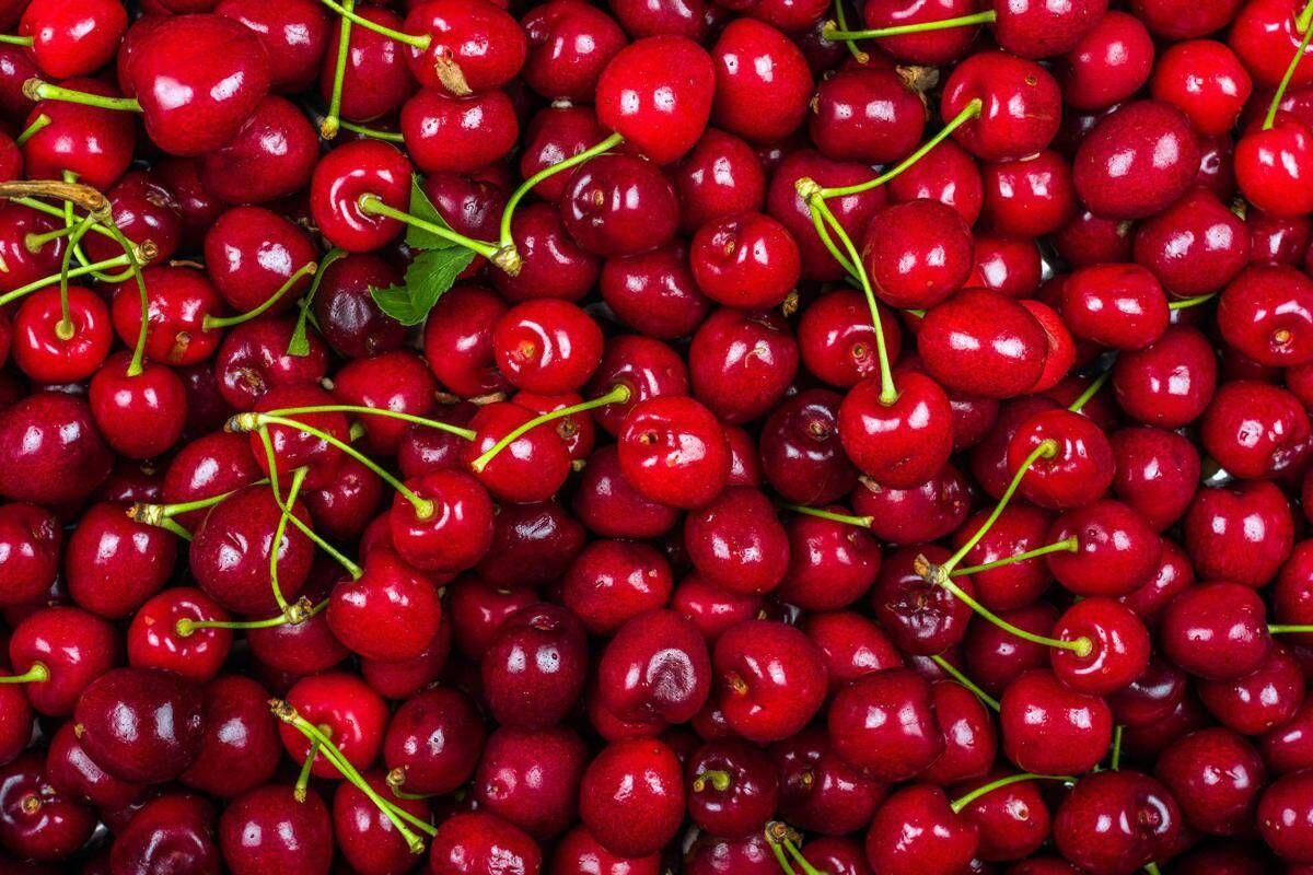 La ciliegia e le qualità 'nascoste', Calabrese: "Anche il gambo fa bene" - 