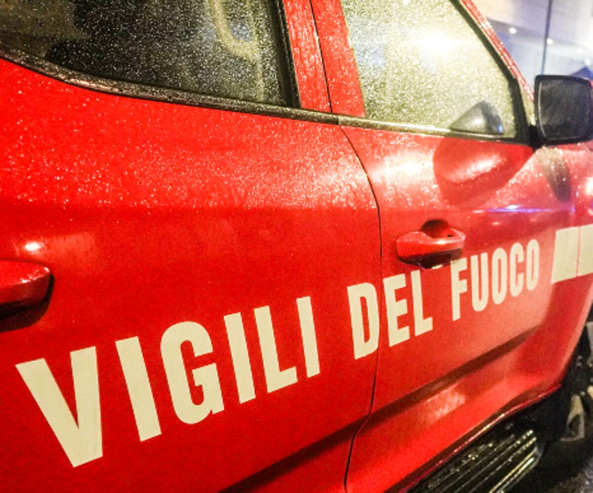 Leccio monumentale incendiato a Bagno a Ripoli, identificati 4 minori: volevano cuocere wurstel - 