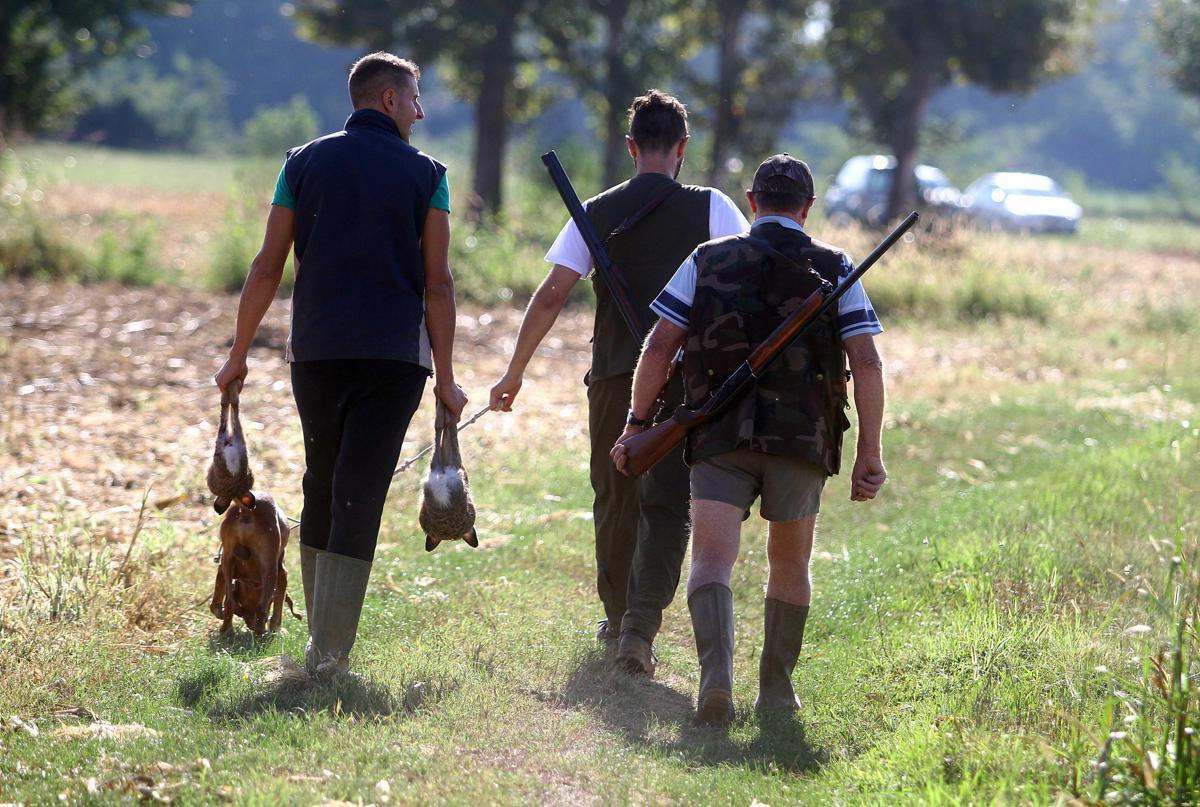 Ddl caccia Italia: l'Ue monitora le nuove regole venatorie - 