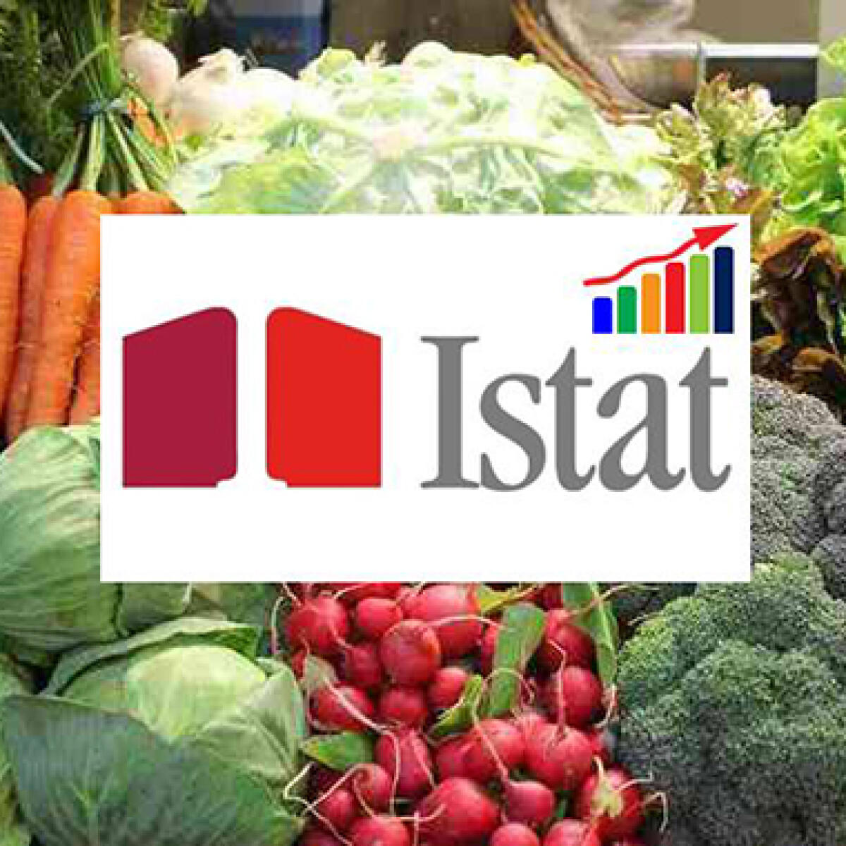 Inflazione a Palermo: prezzi al consumo a maggio 2026 +0,2% sul mese, +3,2% su anno - 