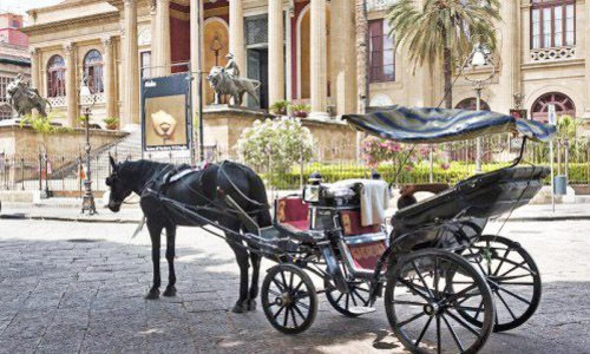 Ordinanza 2026: Comune inasprisce norme per il benessere dei cavalli impiegati nelle carrozze turistiche - 