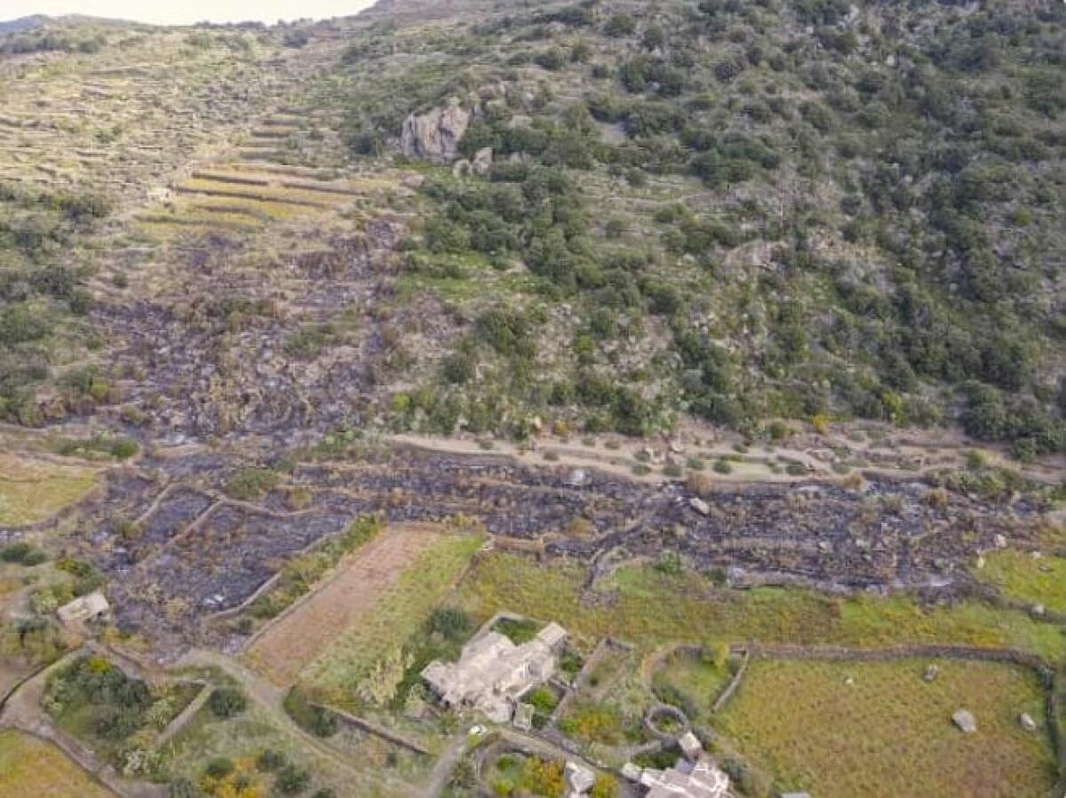 Pantelleria inaugura la stagione antincendi: droni ad alta prestazione al centro della strategia - 