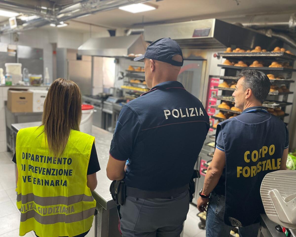 Catania, controlli in un bar di viale Mario Rapisardi: sequestrati 152 kg di alimenti e multe per lavoro in nero - 