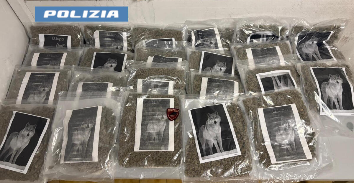 Catania: Polizia sequestra 20 kg di marijuana dopo la segnalazione di un cittadino - 