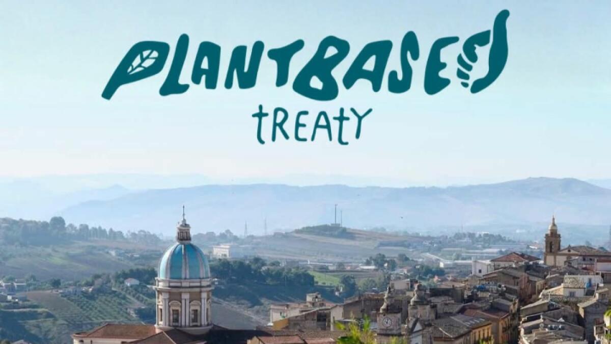 Caltanissetta prima città italiana ad aderire al Plant Based Treaty: mozione approvata il 28 maggio - 