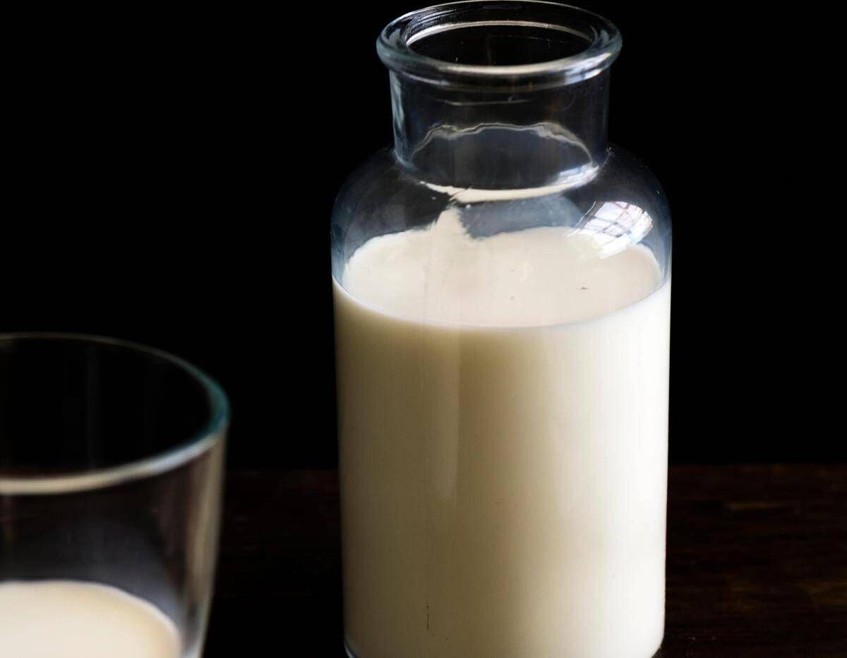 Latte crudo, nuove infezioni tra gli 'adepti'. Bassetti: "Va vietato" - 