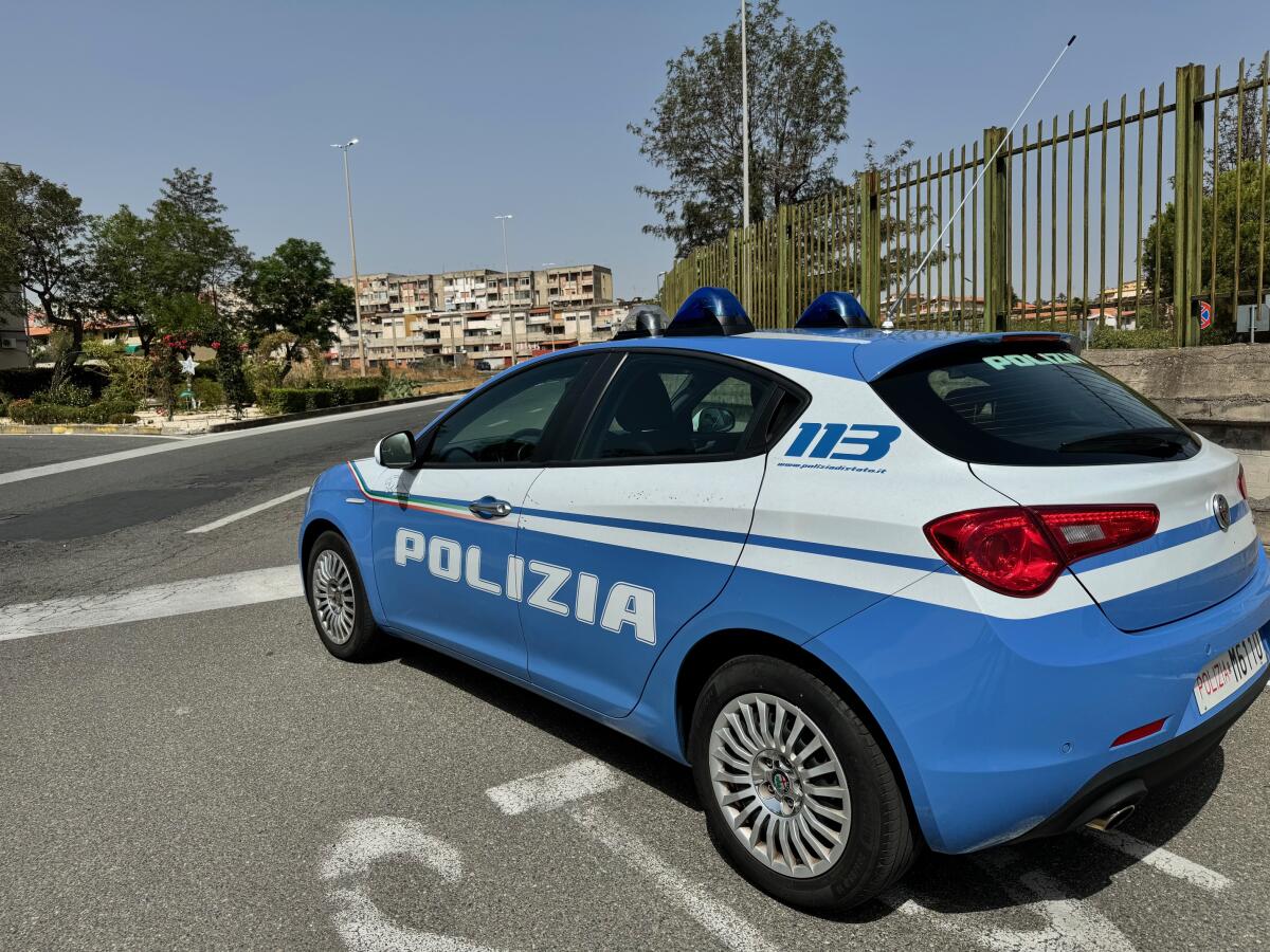 Catania: Polizia sequestra oltre 11 kg di marijuana, il fiuto del cane 'Ares' scopre nascondiglio tra i rifiuti - 