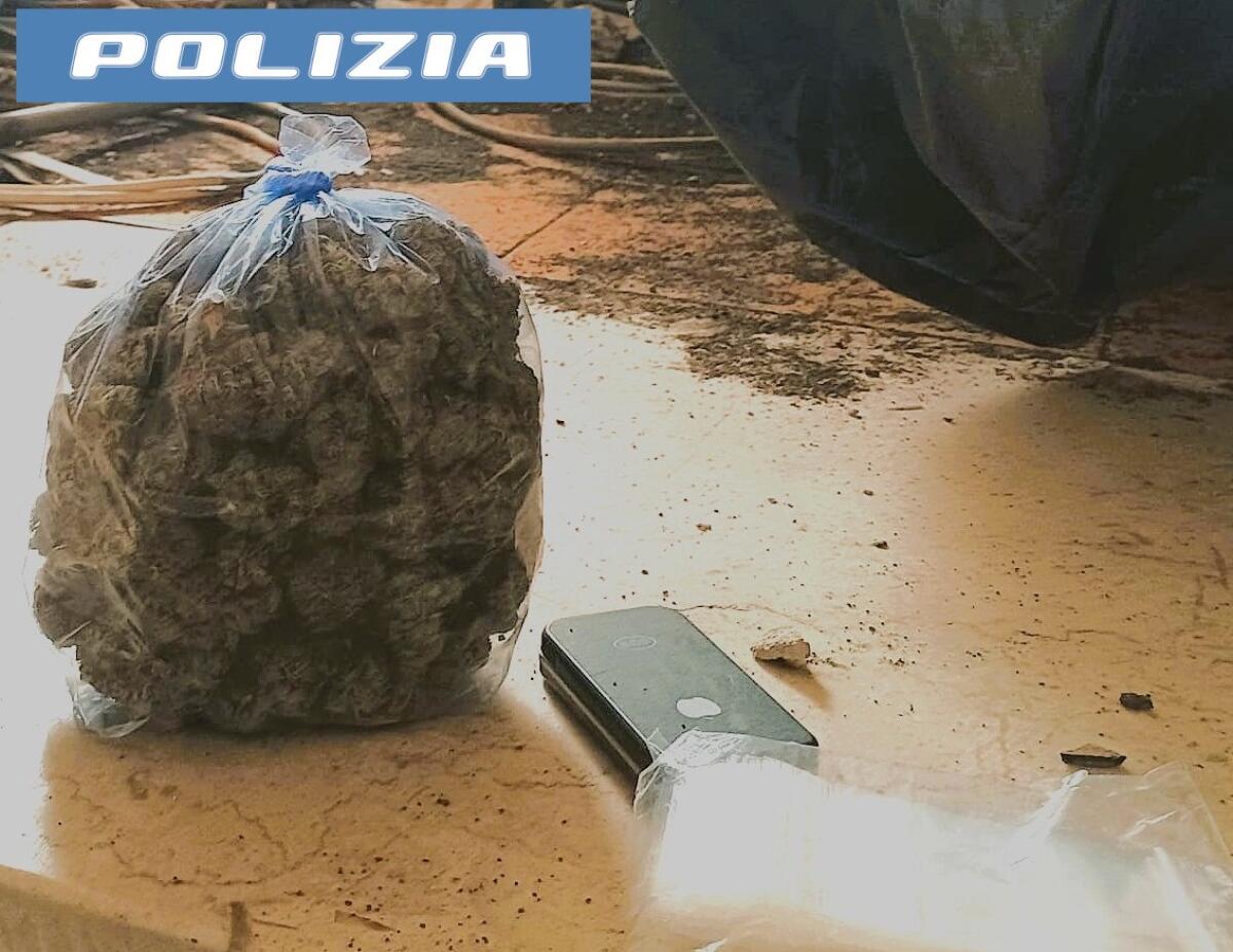 Controlli antidroga a Nesima e Monte Po: polizia sequestra circa 400 grammi di stupefacenti