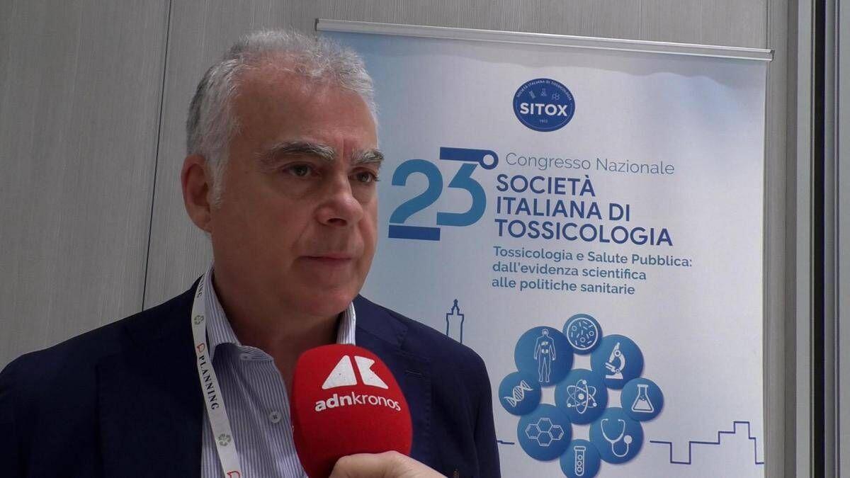 Morso di vipera, il tossicologo 'bambini più vulnerabili a effetti veleno' - 