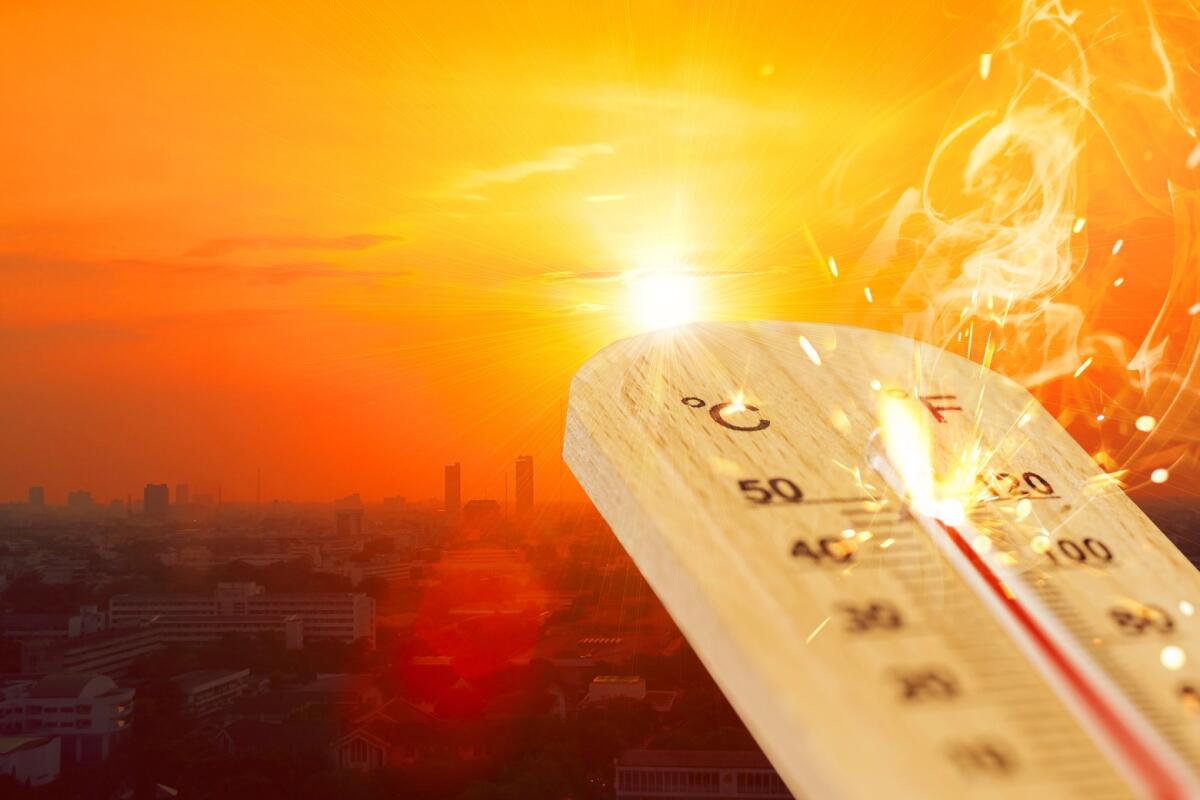 Ondata di caldo: il Comune rafforza l’assistenza per le persone senza dimora - 