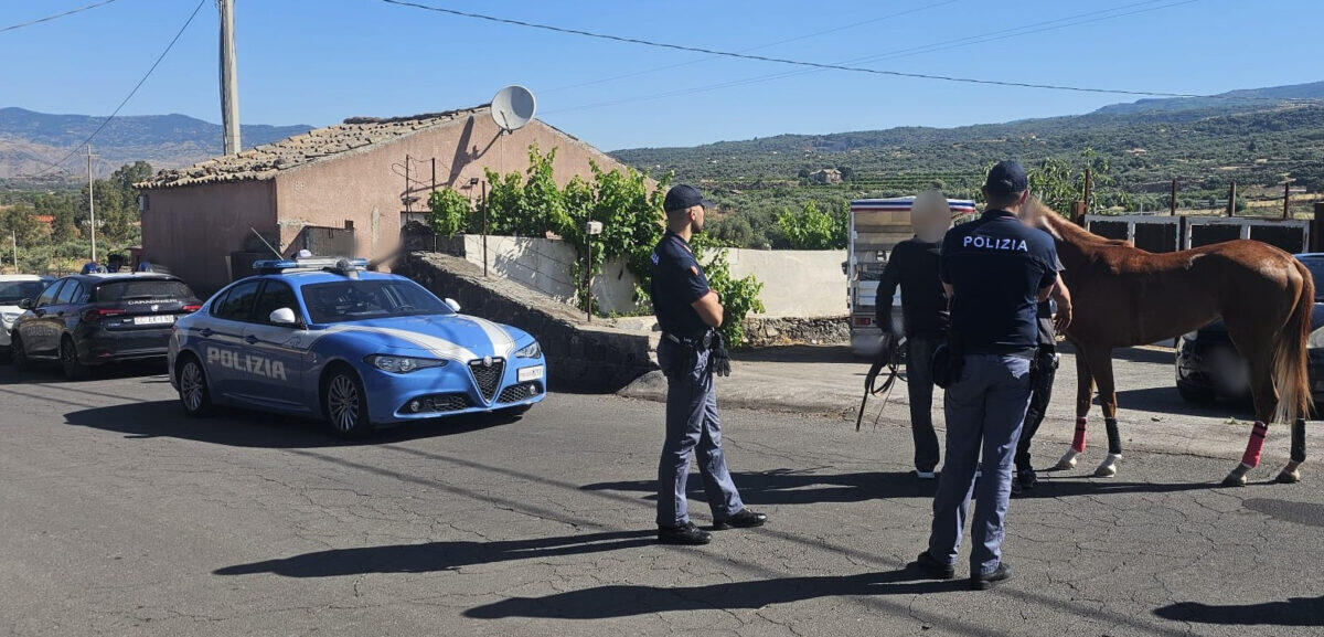 Controllo coordinato della Polizia a Catania per prevenire corse clandestine di cavalli - 