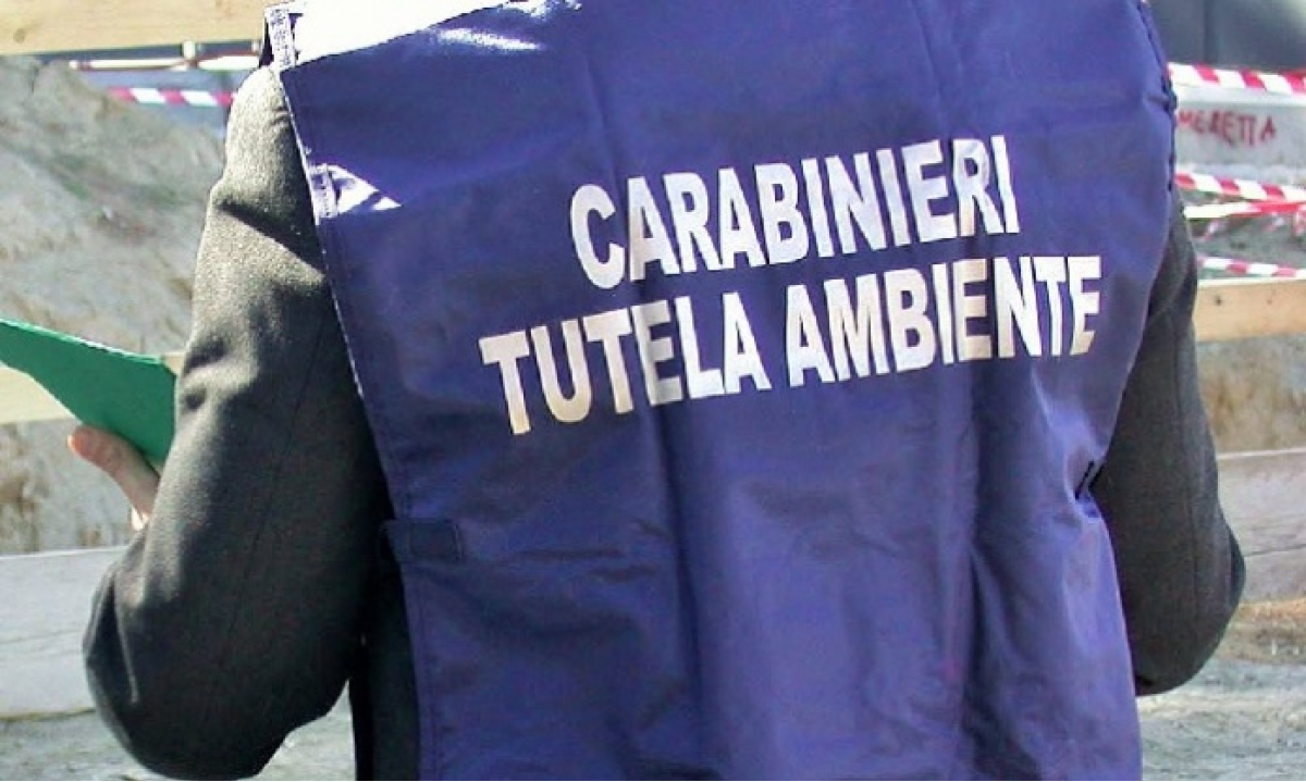 Archiviata l'inchiesta sul traffico illecito di rifiuti in provincia tirrenica: 'il fatto non sussiste' - 