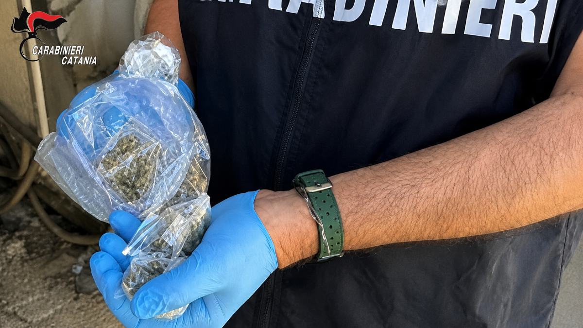 Paternò: 23enne denunciato per spaccio, sequestrati marijuana e 530 euro - 
