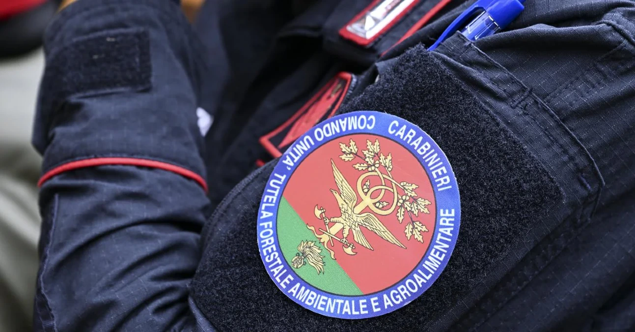 Sequestrati oltre 100 uccelli esotici in allevamento amatoriale: proprietario denunciato - 