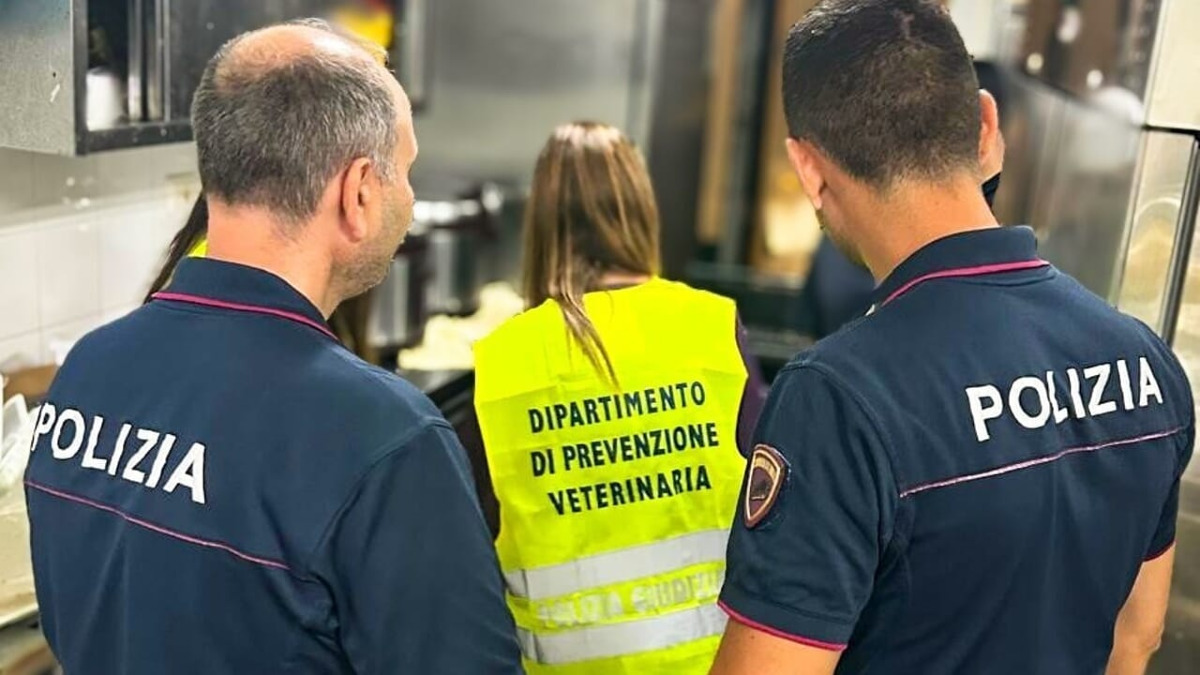 Sequestrato un cavallo a Librino: stalla non registrata e multa da 6.500 euro - 