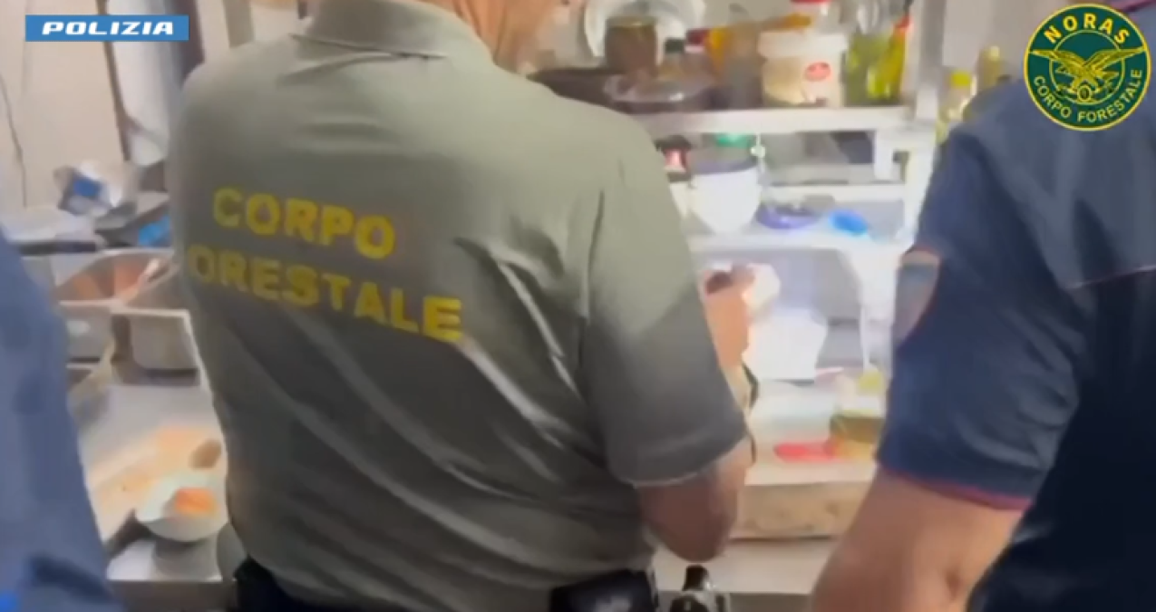 Catania: sospese due attività nel centro storico per blatte, lavoratori in nero e alimenti non tracciati - 