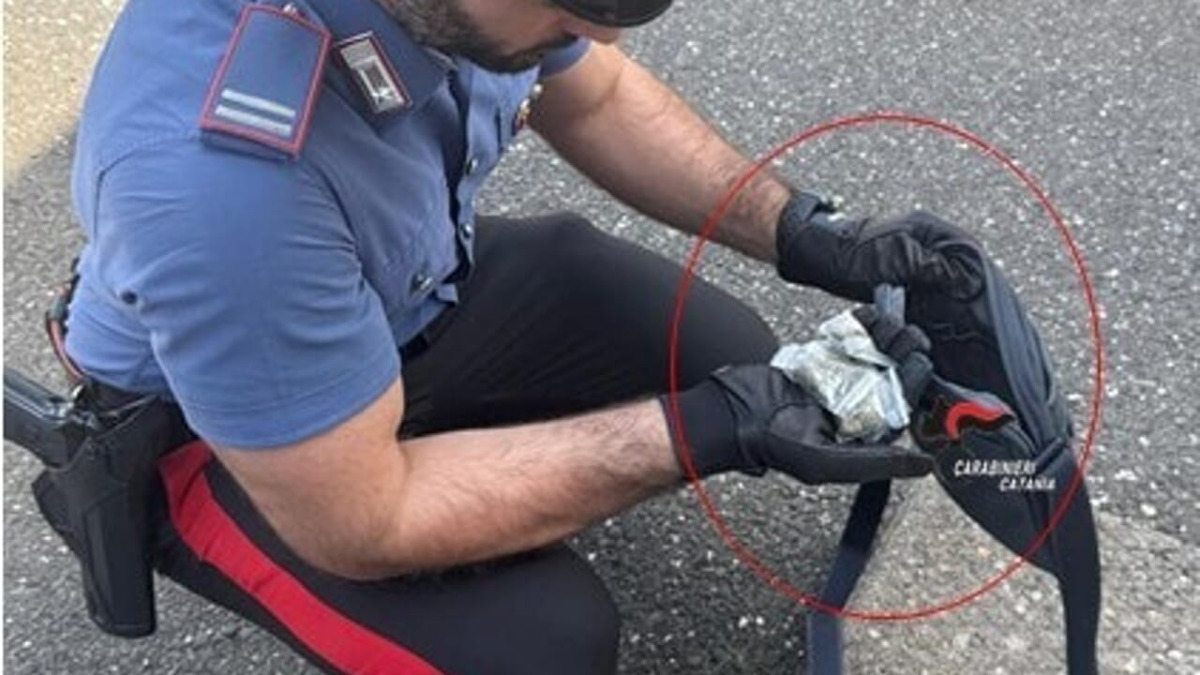 Arrestato 17enne a Bronte: sequestrati oltre 25 g di marijuana, hashish e denaro - 
