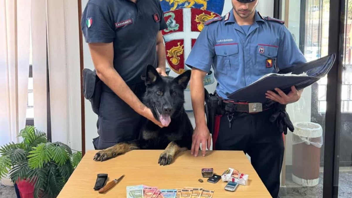 Monreale: due arresti per droga, sequestrati oltre 130 grammi di hashish - 