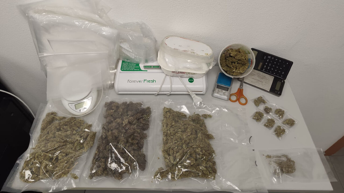Catania: evade dai domiciliari per portare il cane, in casa mezzo chilo di marijuana - 