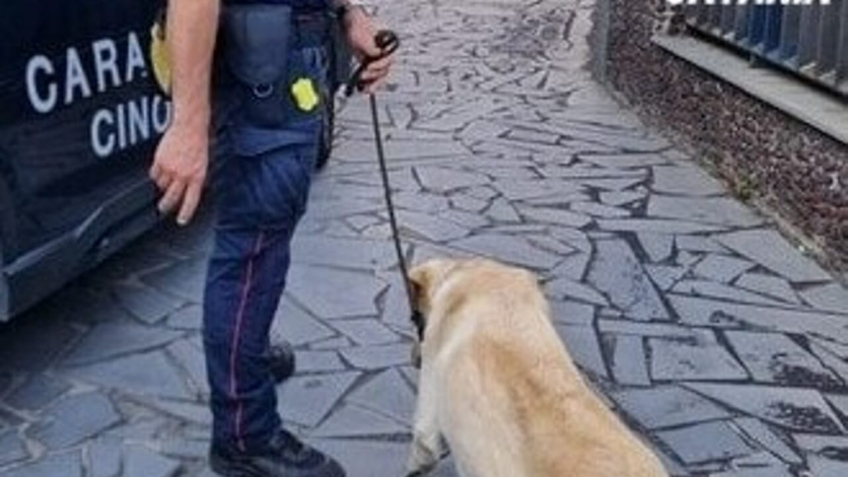 Librino, controlli dei carabinieri: arrestato 41enne per spaccio; denunciato 17enne con 77 g di droga - 