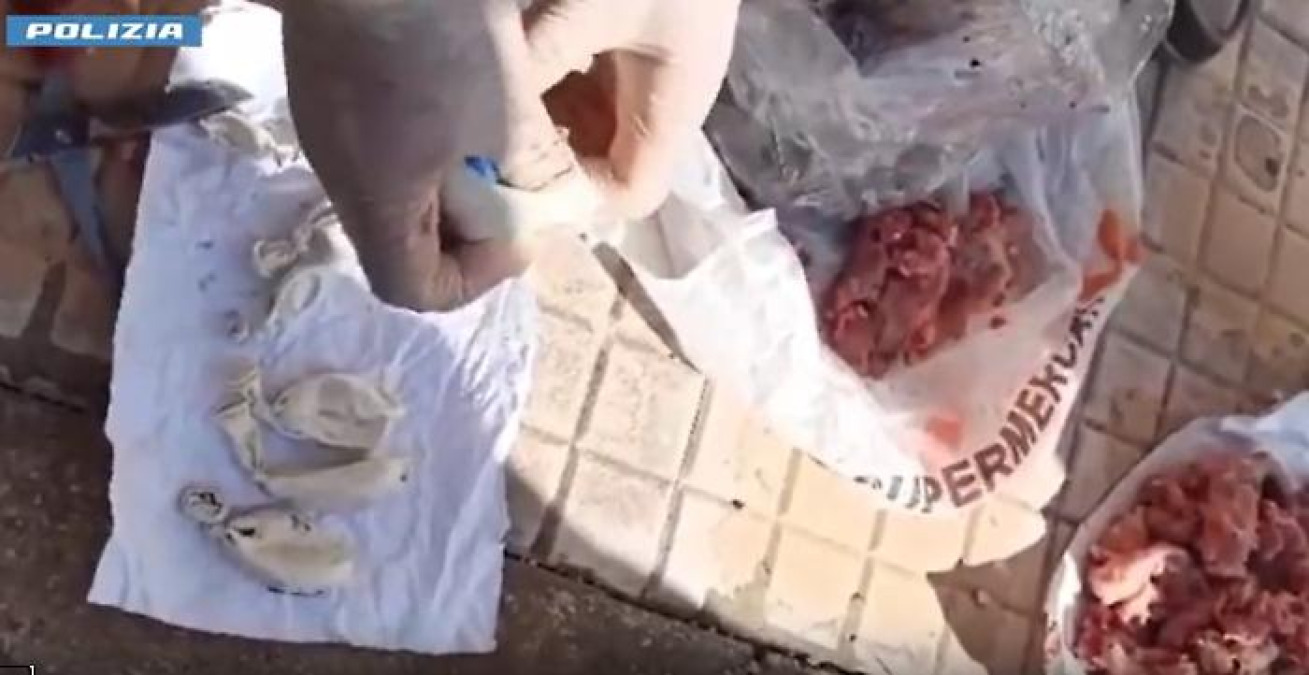 Droga nascosta in salsiccia e calamari: 19 arresti nell'inchiesta 'Oltre al Villaggio' a Catania - 