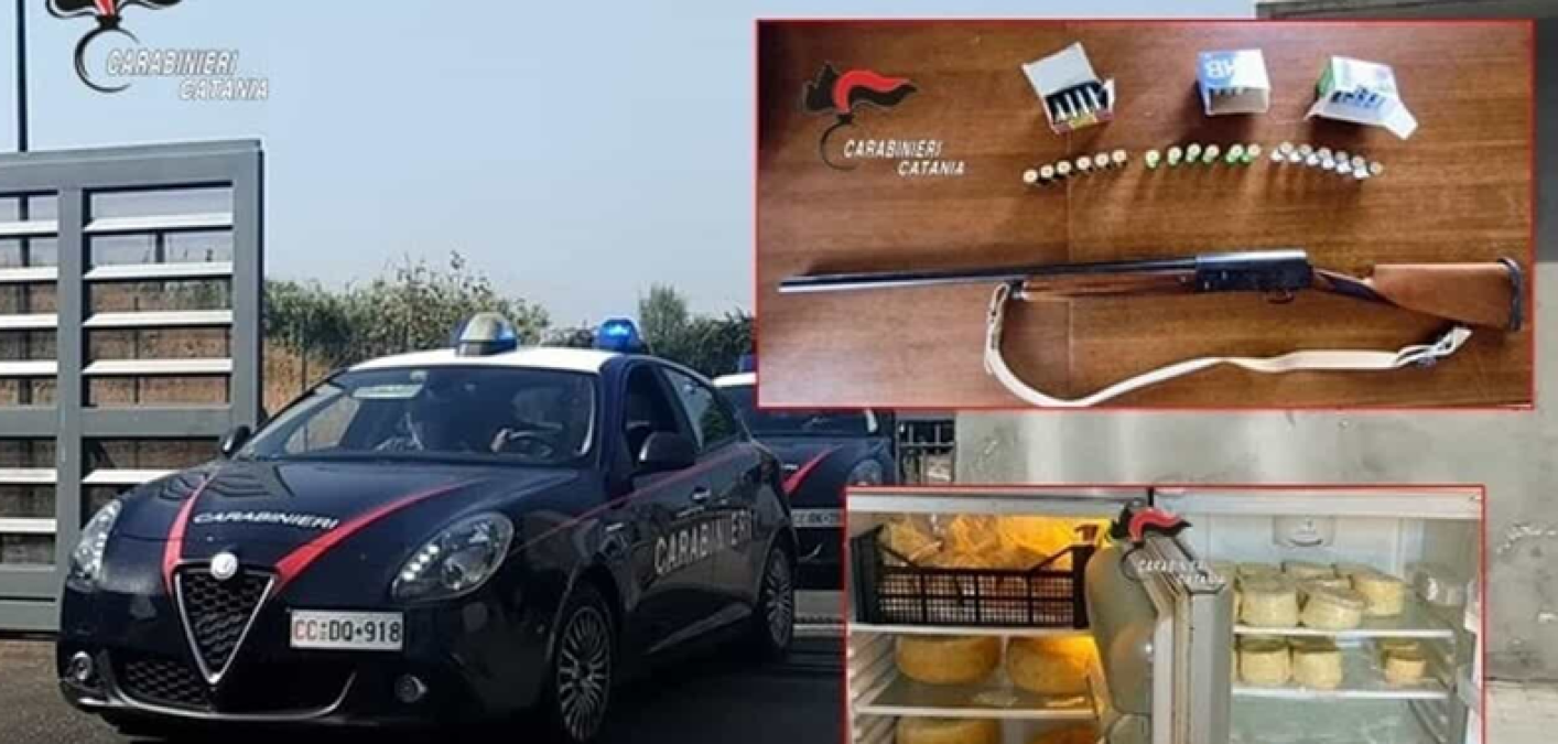 Blitz a Catania: fucile, 72 cartucce, 70 kg di formaggi e amianto nella masseria, padre e figlio denunciati - 