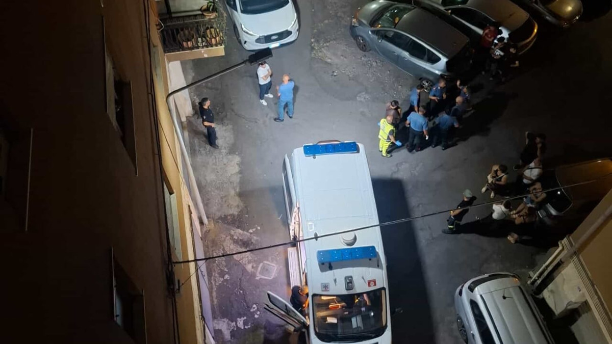 Cane lanciato dal quarto piano a San Giovanni La Punta: esposto del Partito Animalista e TSO per la presunta autrice - 