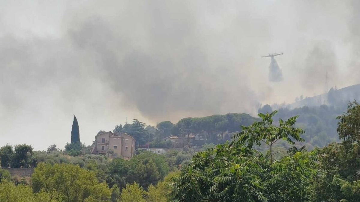 Incendi in Sicilia: oltre 1.000 interventi in 5 giorni, Legambiente chiede l'esercito - 