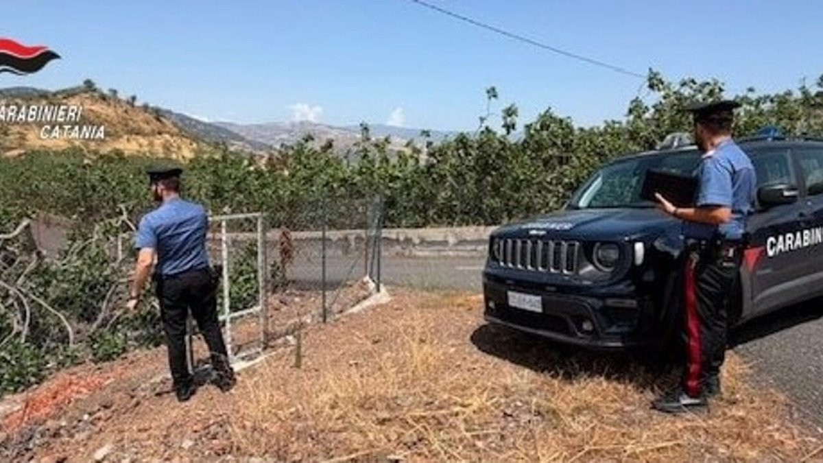 Bronte, arrestato 64enne sorpreso a rubare pistacchi: colluttazione con il familiare del proprietario - 