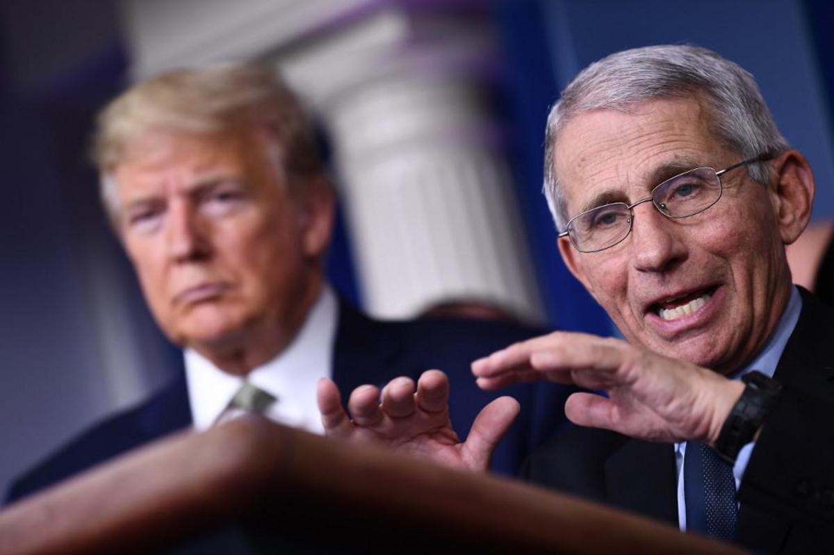 Covid Usa, Fauci si avvale del quinto emendamento. Trump: "Sue idee folli" - 