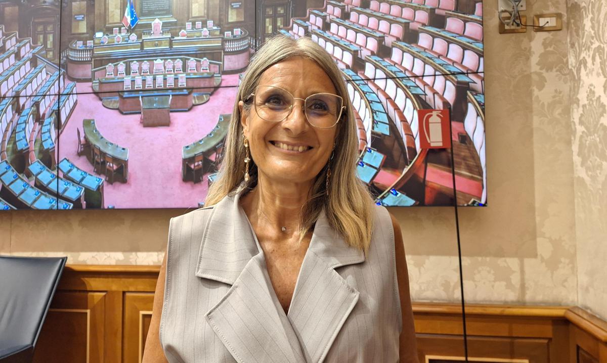 Malpezzi (Pd): "No a device fino a 36 mesi, lo spiegheranno ostetriche e pediatri" - 