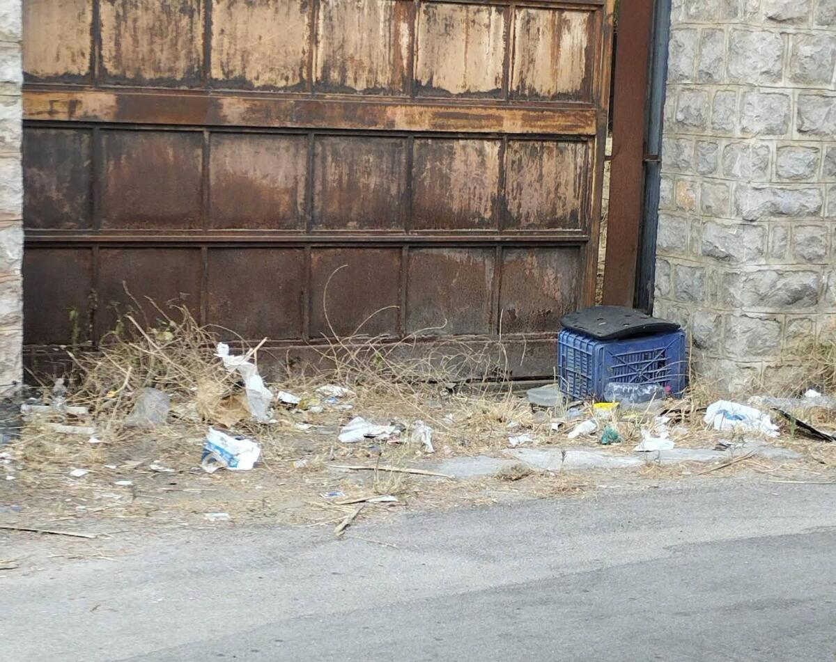 Diserbo a Palermo, il M5S: "Interventi esternalizzati fallimentari, servono verifiche immediate" - 