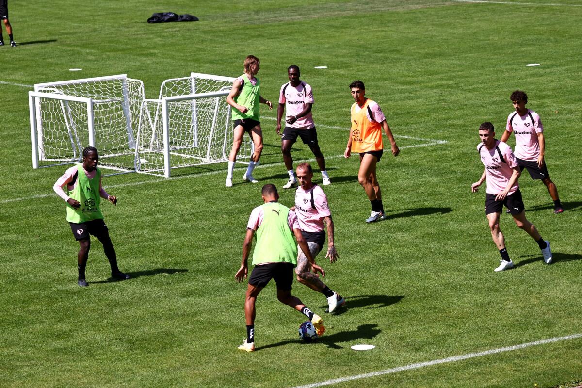 Palermo, amichevole con l'Ingolstadt: domani ore 16 al Mulin da Coi; biglietti e streaming - 