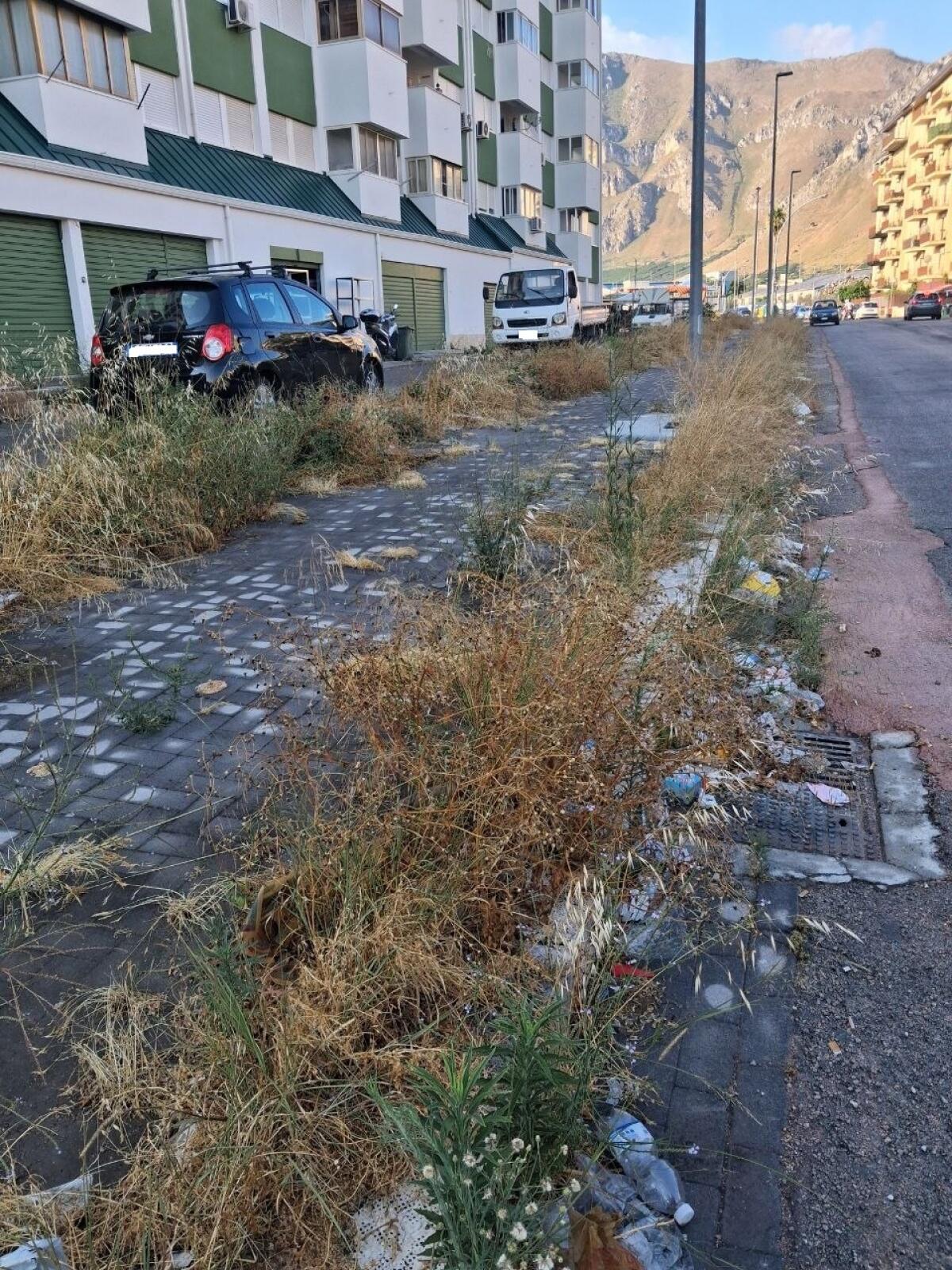Avviati i lavori di diserbo nella Seconda Circoscrizione: consiglieri chiedono il cronoprogramma - 