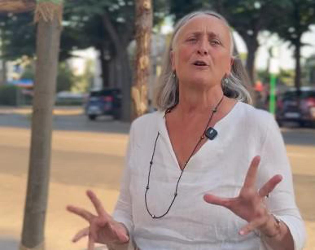 Cnn e piazza Risorgimento a Roma, Alfonsi: "Giusto più alberi e più ombra, ma serve cambiare regole" - 